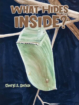 cover image of What Hides Inside?